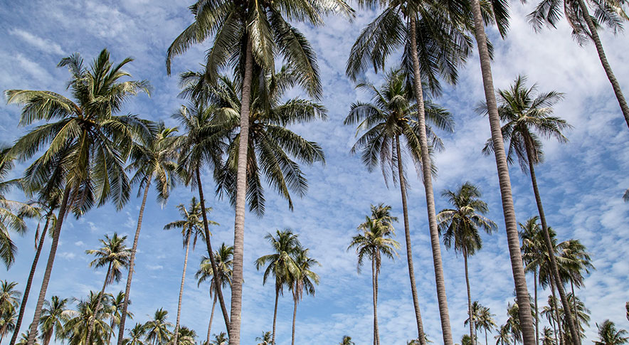 bus trip pompano beach florida beach