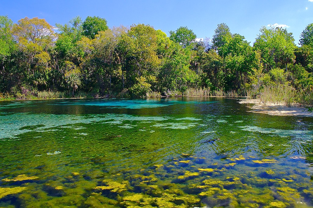 ocala national forest bus trip
